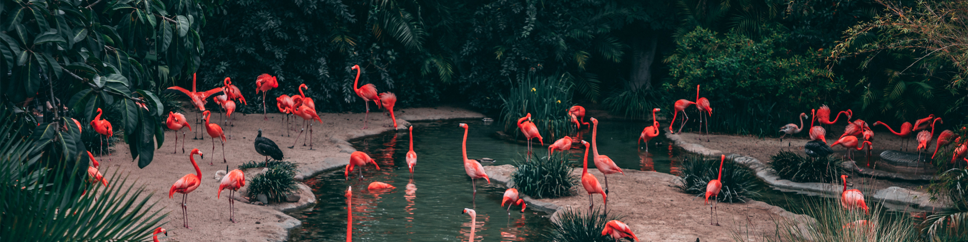 张家界新思路国际旅行社有限公司驻马店营业网点